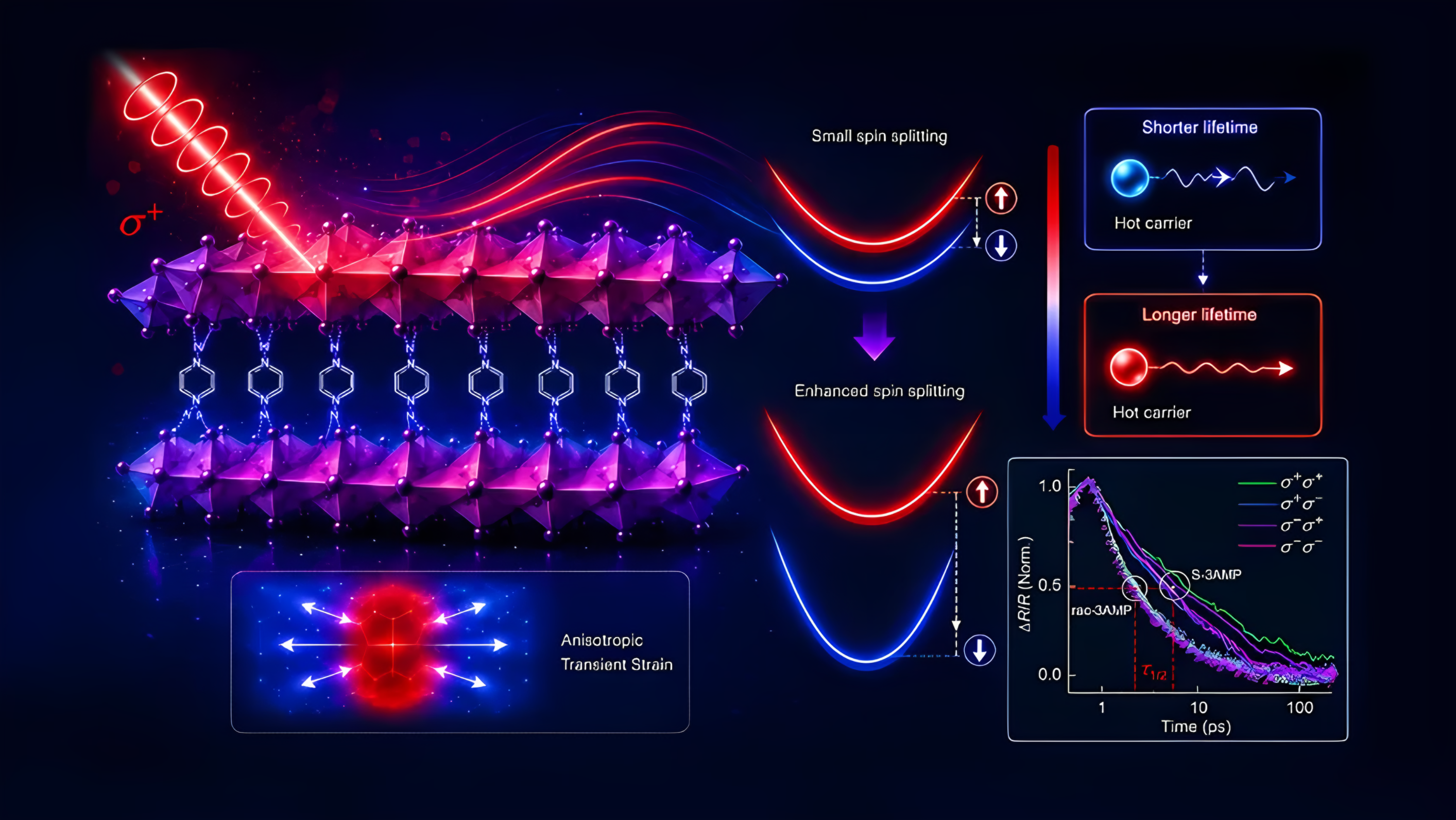 Breakthrough in Quantum Computing: New Protocol Silences Non-Markovian Noise!
