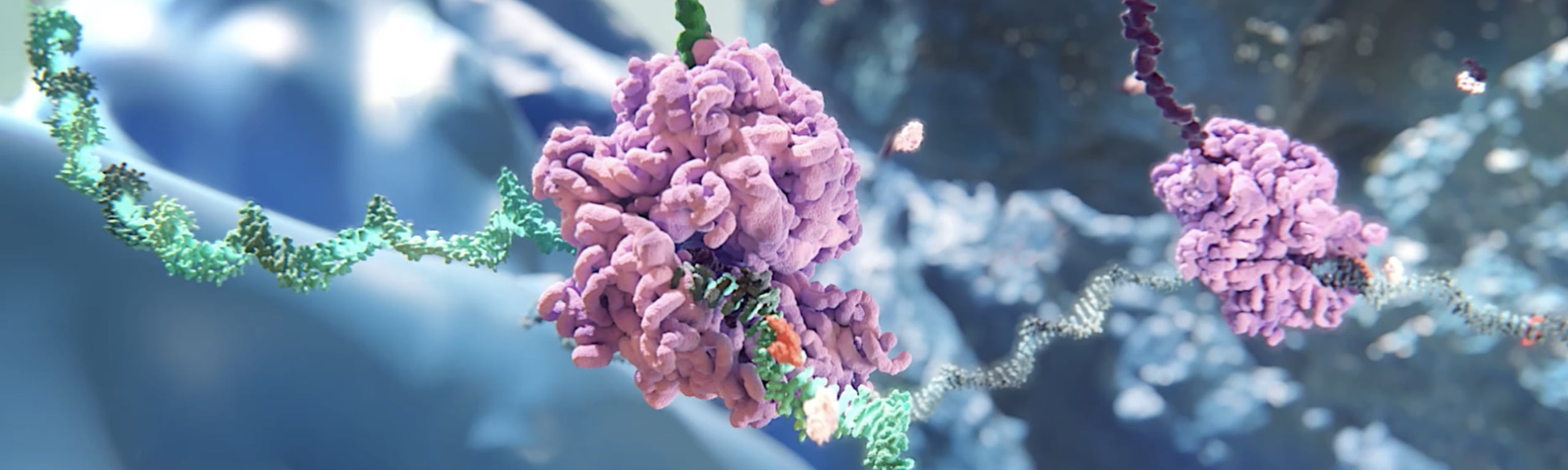 Nava Therapeutics Unveils $89 Million Funding to Revolutionize CAR-T Therapy
