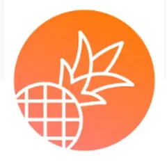 Pineapple Builder Logo