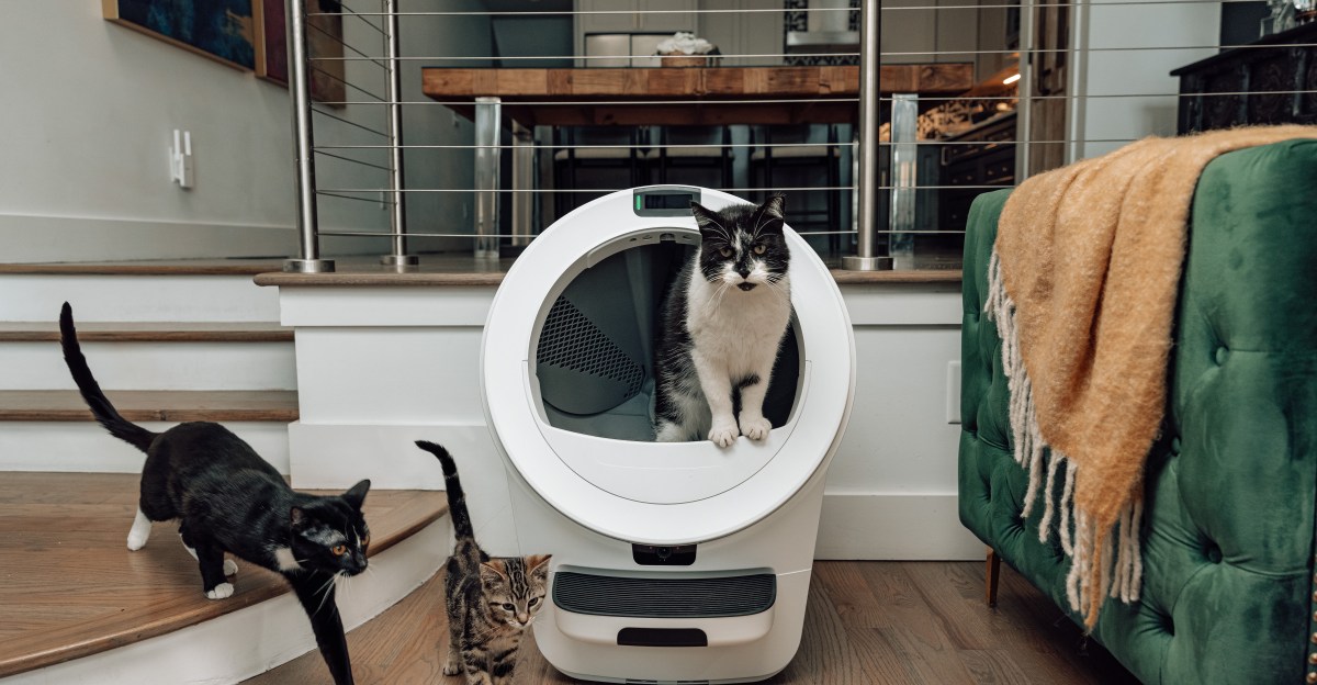 Whisker Unveils AI-Powered Litter-Robot 5 Pro for High-Tech Cat Care!